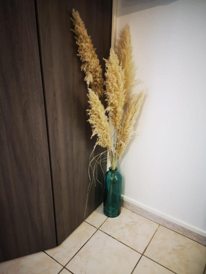 Appartement Le Cosy De L'île *